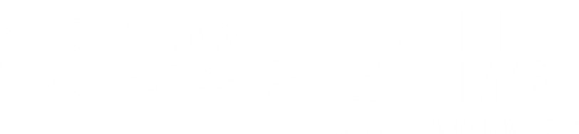 efficient systems white logo